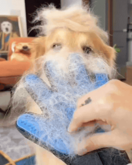 PetGlide™ Guante Magnético removedor de pelo para mascotas