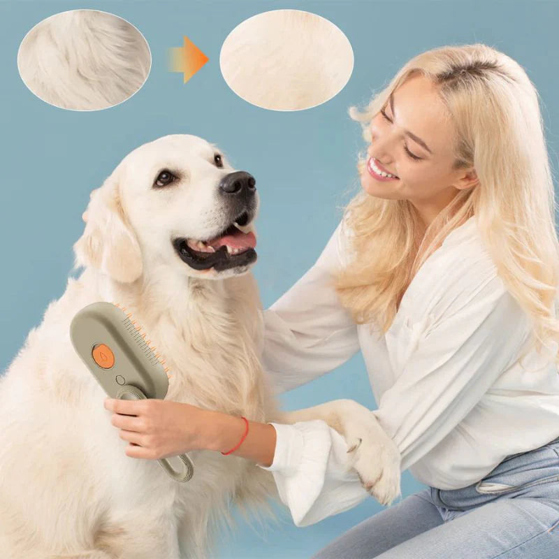 Ball Magic™ - Pelota Mágica para Niños y Mascotas 🤾🐕-🔥35%OFF🔥