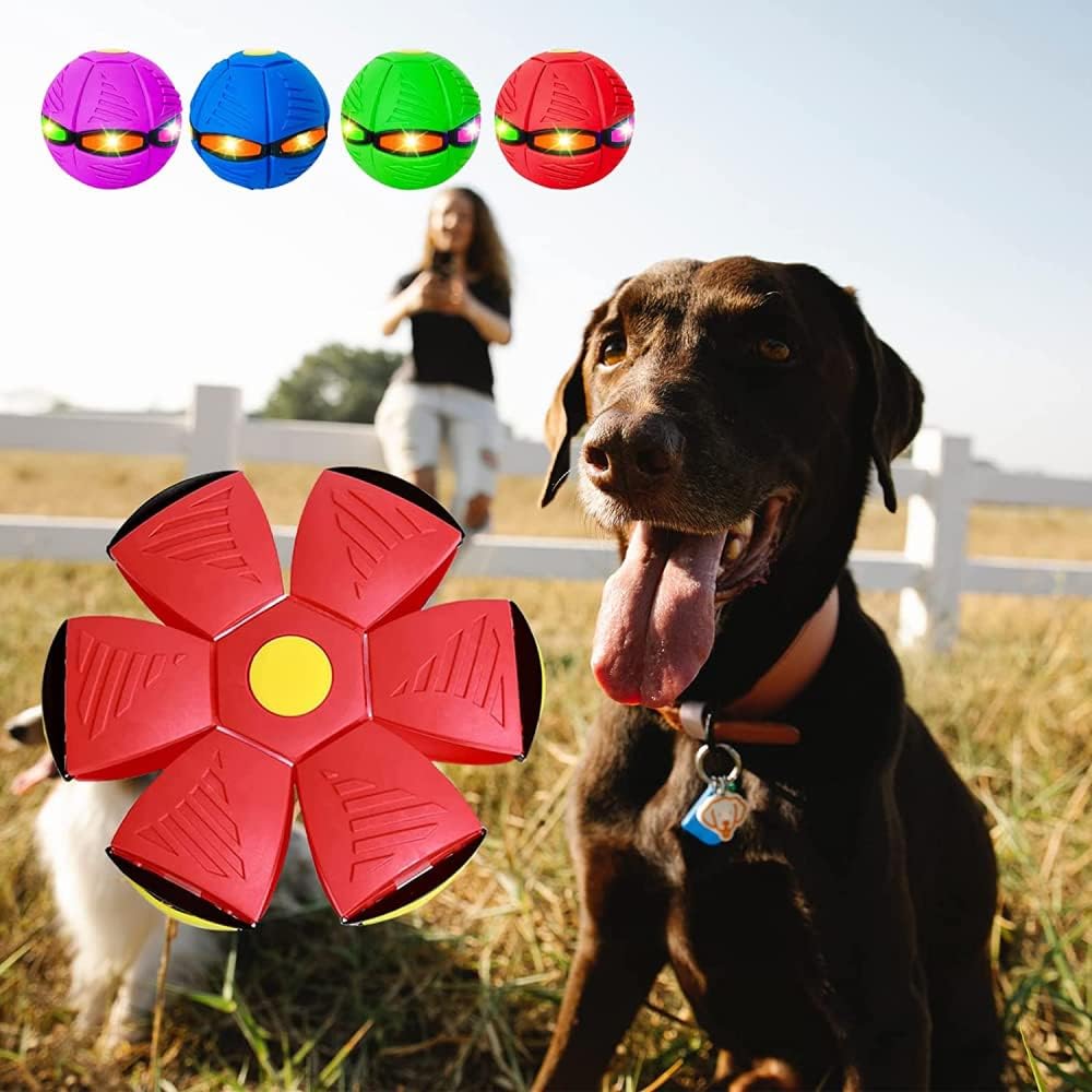 Ball Magic™ - Pelota Mágica para Niños y Mascotas 🤾🐕-🔥35%OFF🔥